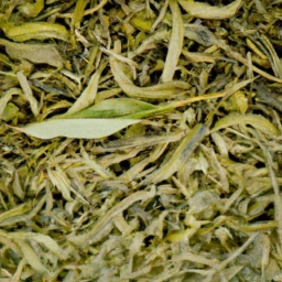 茶叶规划属于什么行业(茶叶行业百科：一场关于中国传统文化的盛宴)