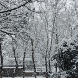 大雪的由来(大雪，飘洒的大片白色雪花，给大地铺上了一层银装素裹，让人感到幽静、安宁。然而，大雪的由来