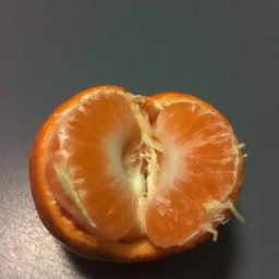 橘皮苷是什么(橘皮苷——来自橙子皮的营养物质)