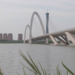 大庆都有什么桥(大庆之桥：走进这座城市的历史与现代)