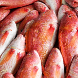鲈鱼多少钱一斤市场价2022(2022年市场价：鲈鱼价格的变化与钓鱼技巧)