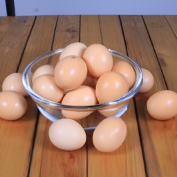 鸡蛋的由来(鸡蛋的起源与传承)