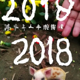 2019年猪年是什么命(2019年猪年是什么生肖命？)