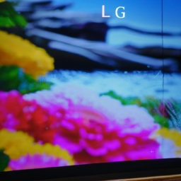 lg oled电视(LG OLED电视：高新科技与家庭娱乐的完美融合)