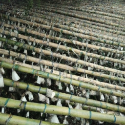 什么叫竹节纱(竹节纱是一种传统的亚麻质地的纺织品，常常被用于制作传统的中式衣物和家居用品。竹节纱的制