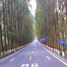 经过樟树的公路有什么地方(穿越樟树公路，感受自然之美)