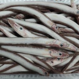 超市卖龙趸鱼20元一斤(超市卖龙趸鱼20元一斤，你稀饭吗？)