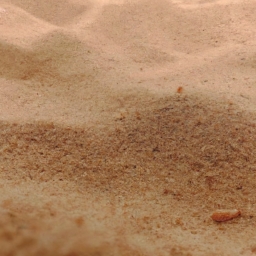 沙子多少钱一吨(沙子多少钱一吨，买家和卖家怎么协商？)