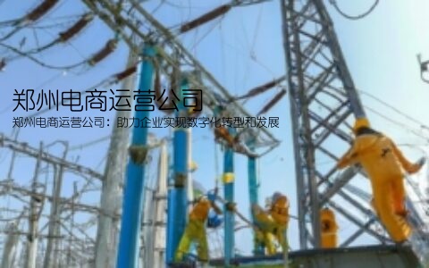 郑州电商运营公司(郑州电商运营公司：助力企业实现数字化转型和发展)