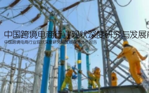 中国跨境电商行业现状深度研究与发展前景分析报告(中国跨境电商行业现状深度研究与发展前景分析报告)