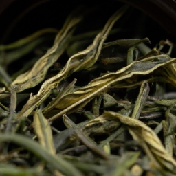 茶叶一般每亩多少公斤(茶叶每亩平均产量情况)