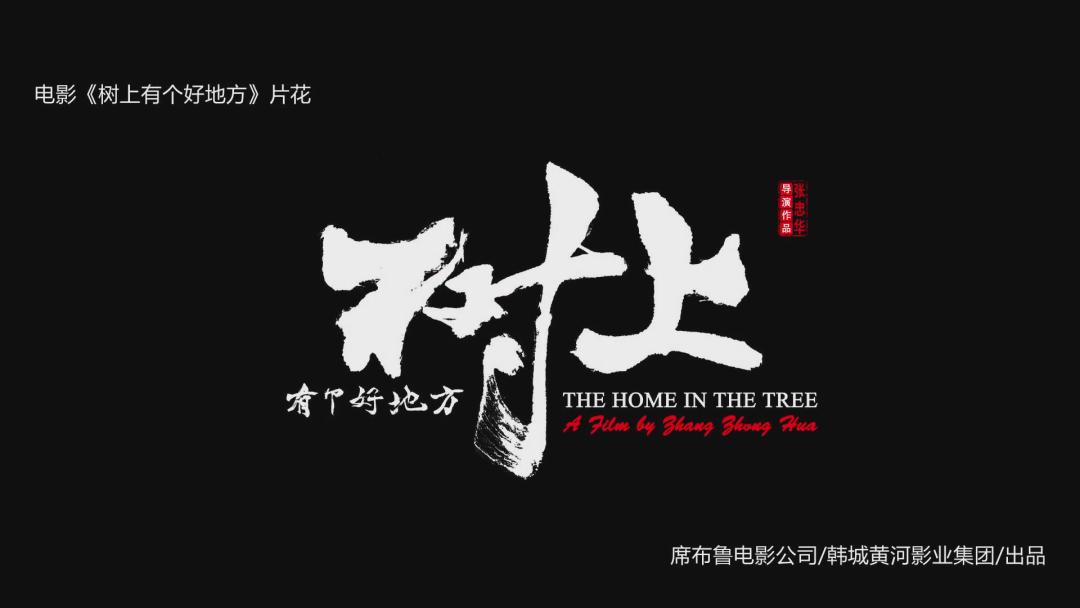 爱奇艺独家播映韩城首部院线电影《树上有个好地方》（电影名:《树上有个好地方》）