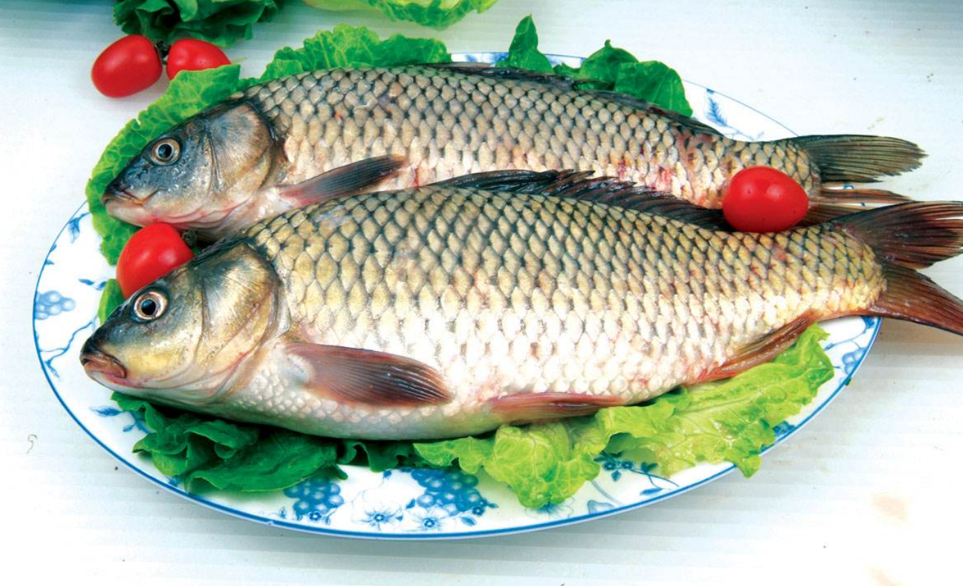 6种鲤鱼家常料理好吃又健康（鲤鱼怎么做好吃又简单家常的视频）
