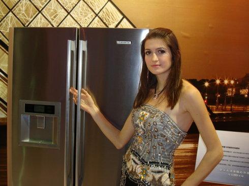 伊莱克斯冰箱耗电揭示新十月能效标准（伊莱克斯冰箱耗电量怎么看）