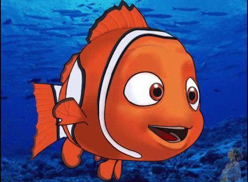 《海底总动员》电影中的鱼：你知道其中包括哪些品种吗？（海底总动员里面的鱼是些什么鱼）