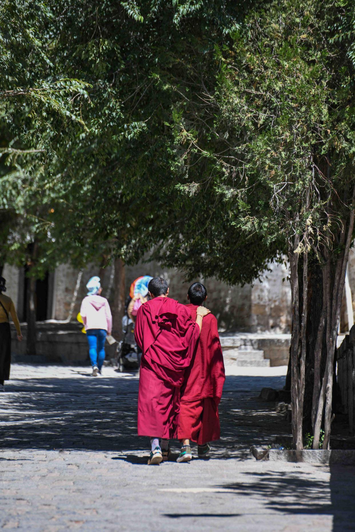 西藏色拉寺：必游胜地（西藏色拉寺图片）