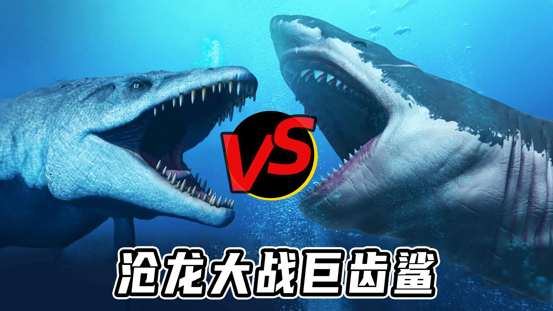 Canglong vs Jushi Shark 从5个角度看，谁是真正的海洋王者？