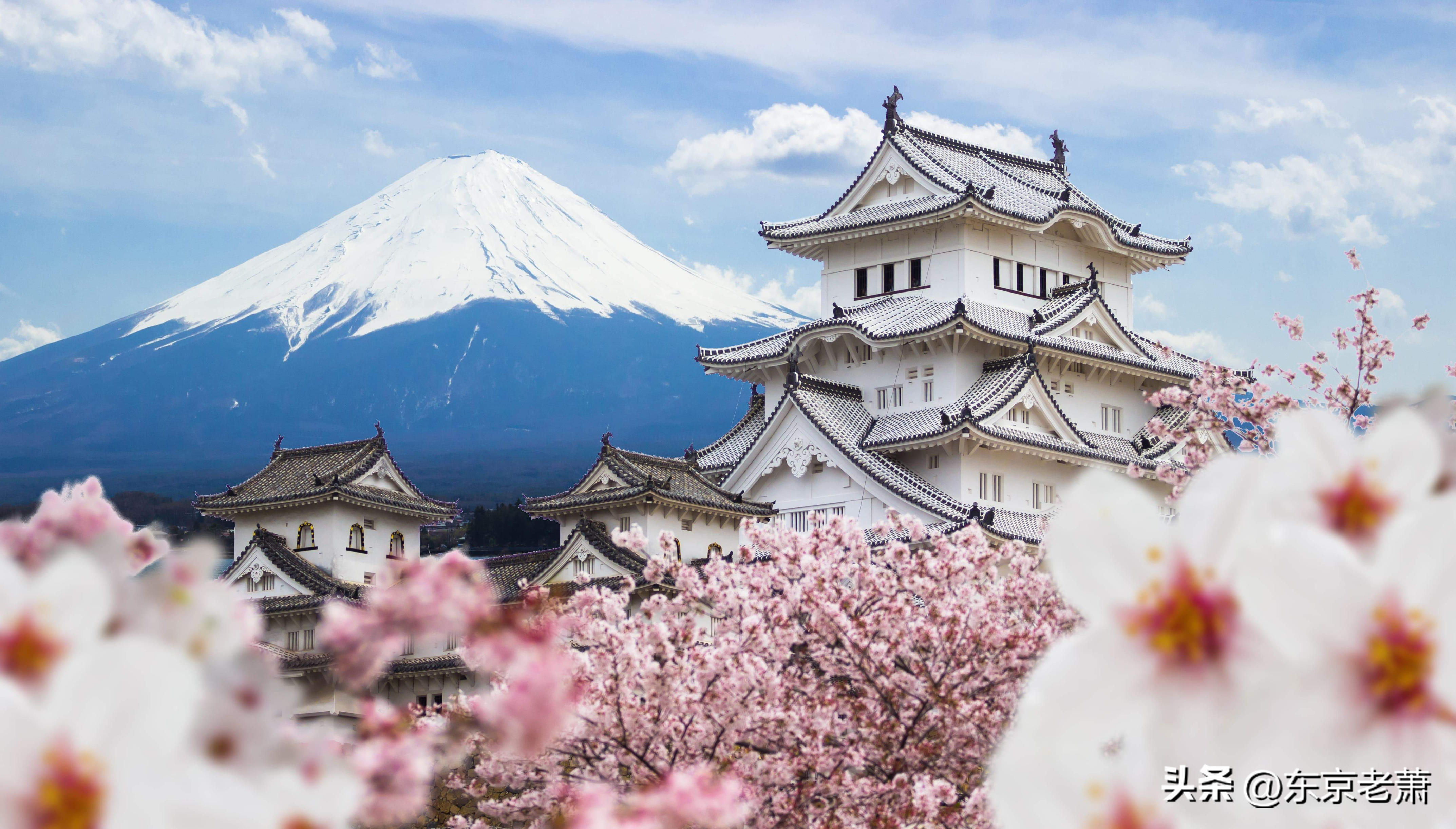 日本旅游的隐秘规则（日本旅游的优势）