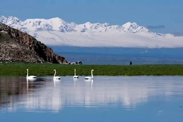 新疆巴音布鲁克湖美景（新疆巴音布鲁克草原景区图片）