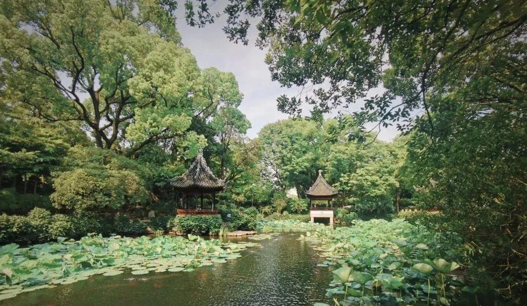 曲水园、上海大观园星级公园榜单五星级入选（桂林七星公园是几星级景区）