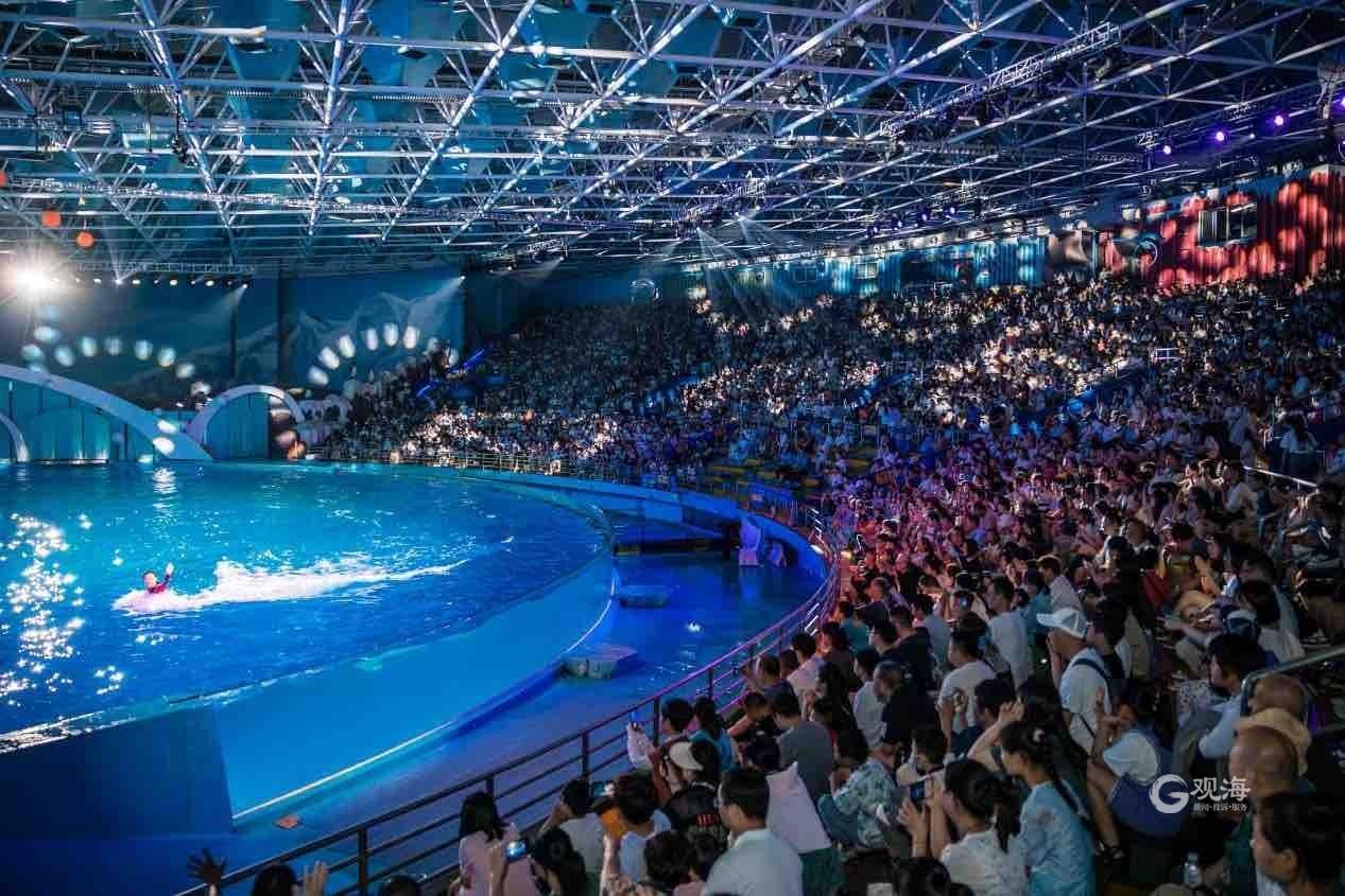 2023年青岛美人鱼公开赛闪耀极海（2023年中国美人鱼公开赛）