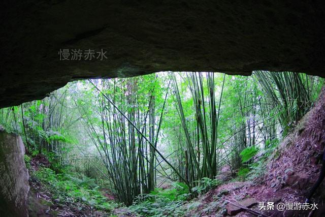 探秘贵州赤水竹林神秘的丹霞洞穴：美丽而神秘的地下宝囊（贵州赤水丹霞风景区门票价格）