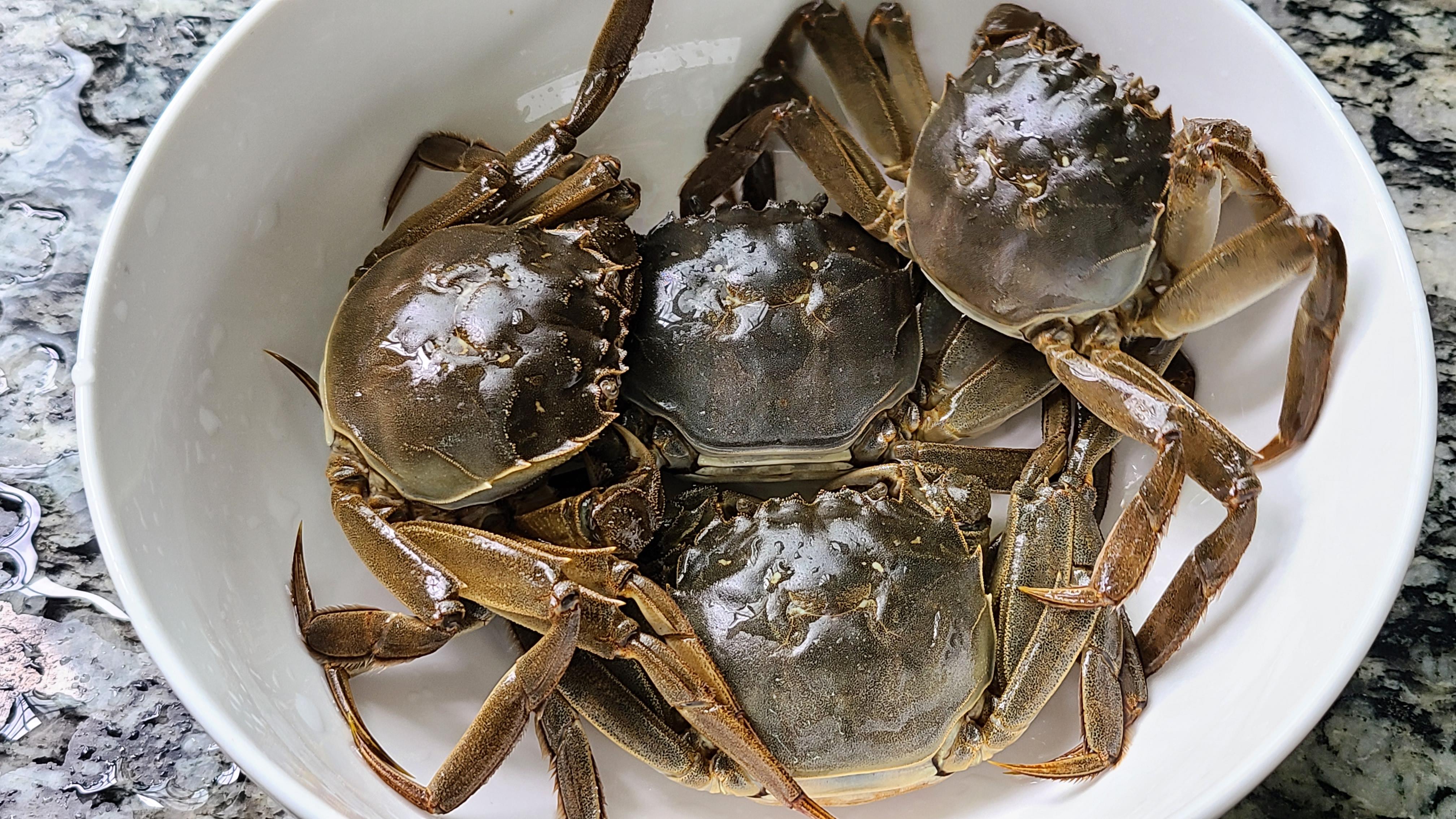 美味螃蟹家常做法，蟹黄香浓鲜美，营养可口（螃蟹的家常做法蟹黄是什么样的）